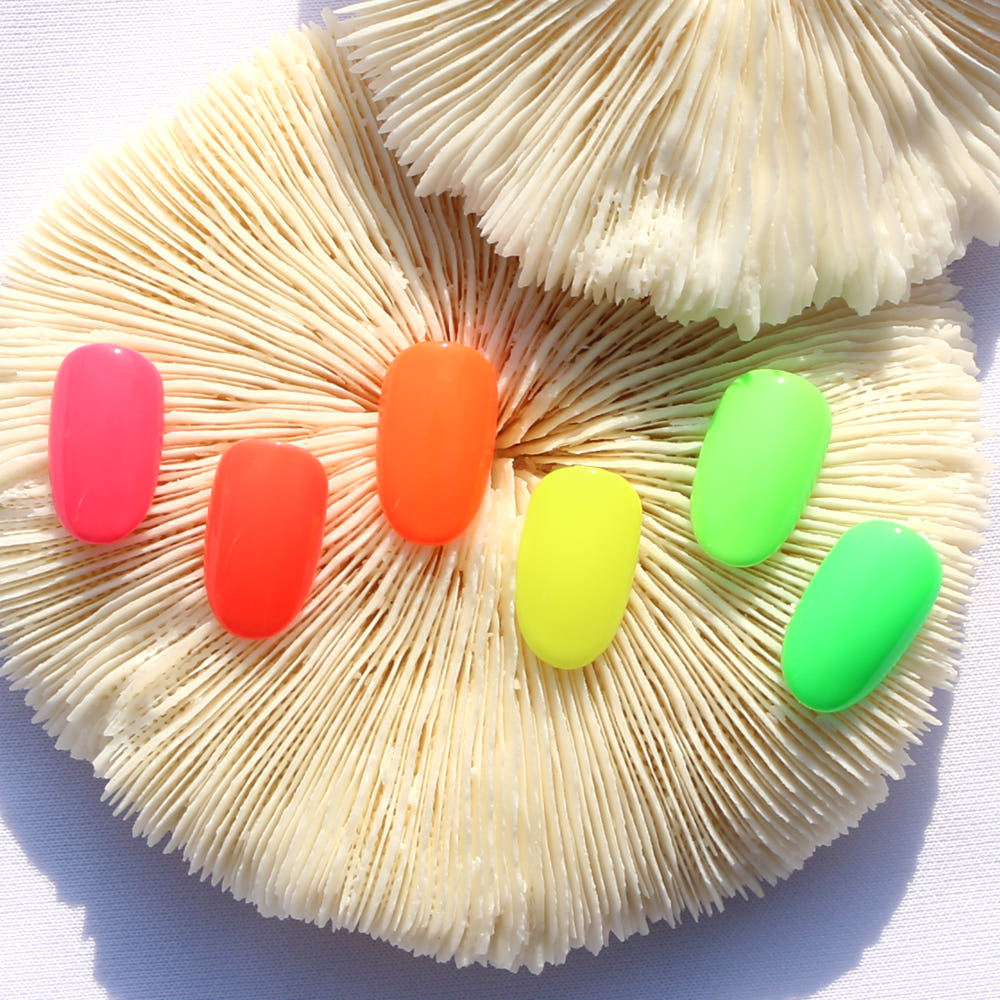 Neon Series Collection