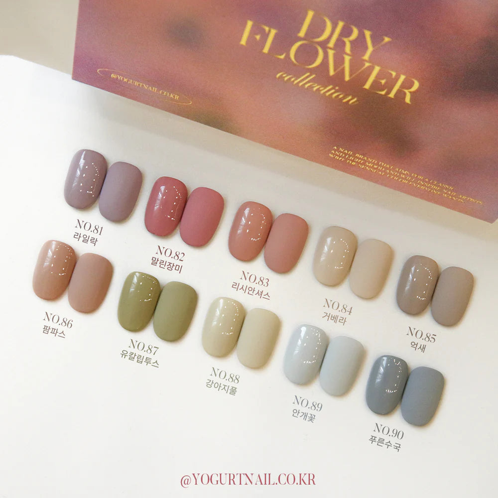 Dry Flower Collection