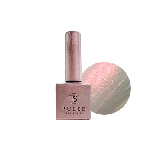 CHAMELEON Collection