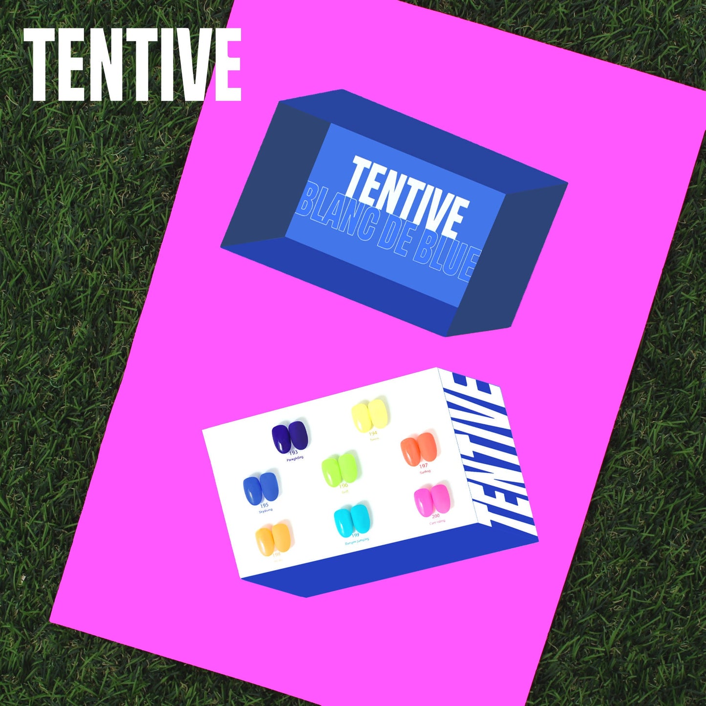 TENTIVE Collection