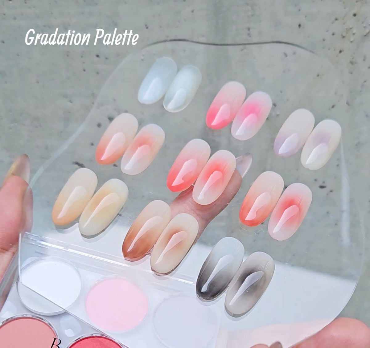 Pink Gradation Palette