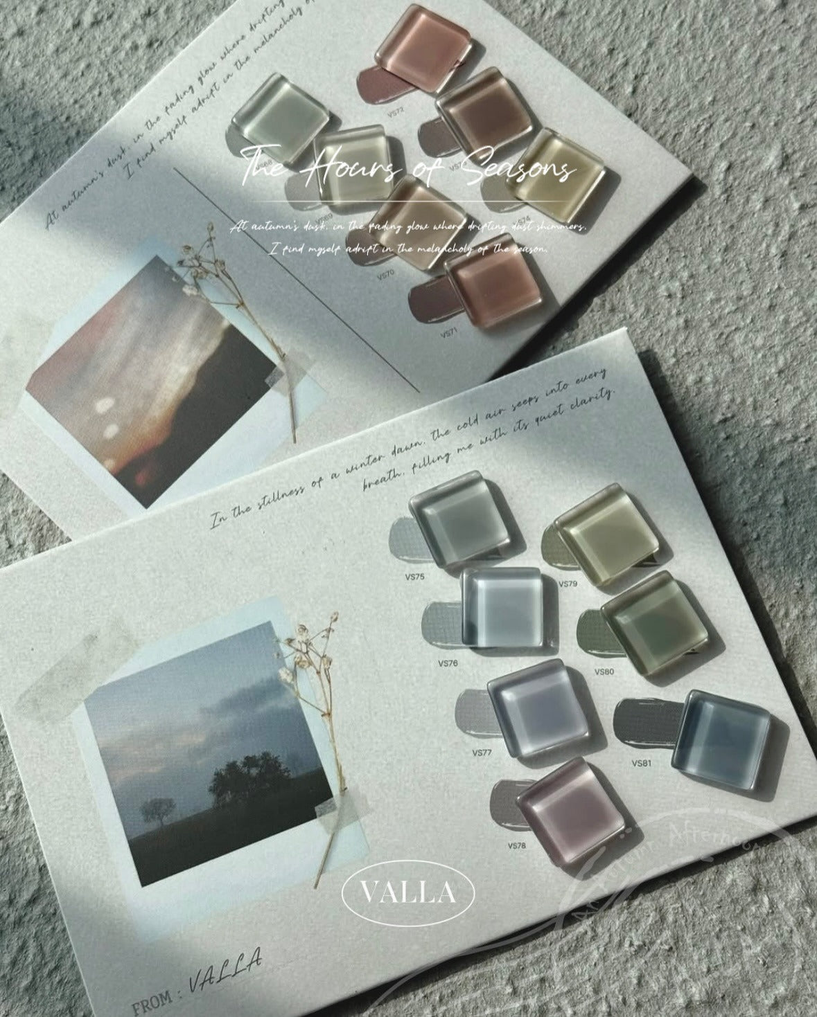 Winter Morning Collection