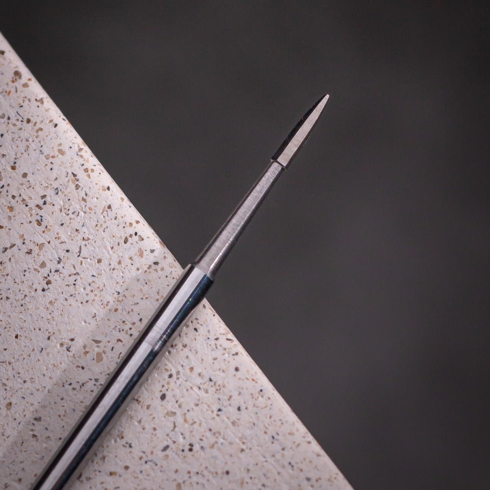 VEGA VG220 Hexagon Bit 6mm
