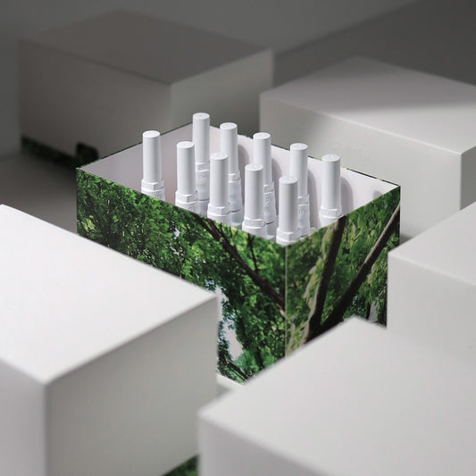 Once in a Summer Collection