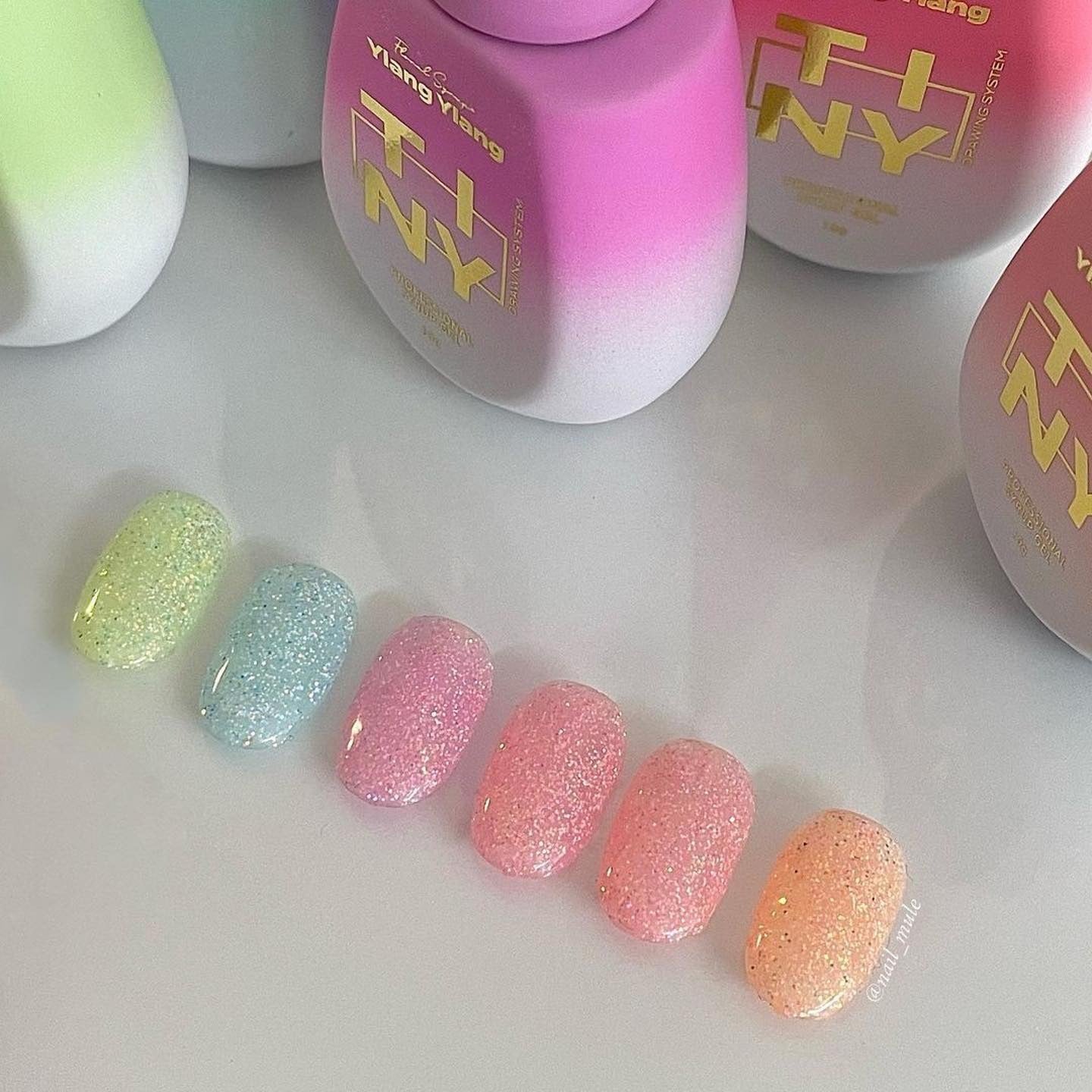 JJUU & SODA JJURUJJURU Collection