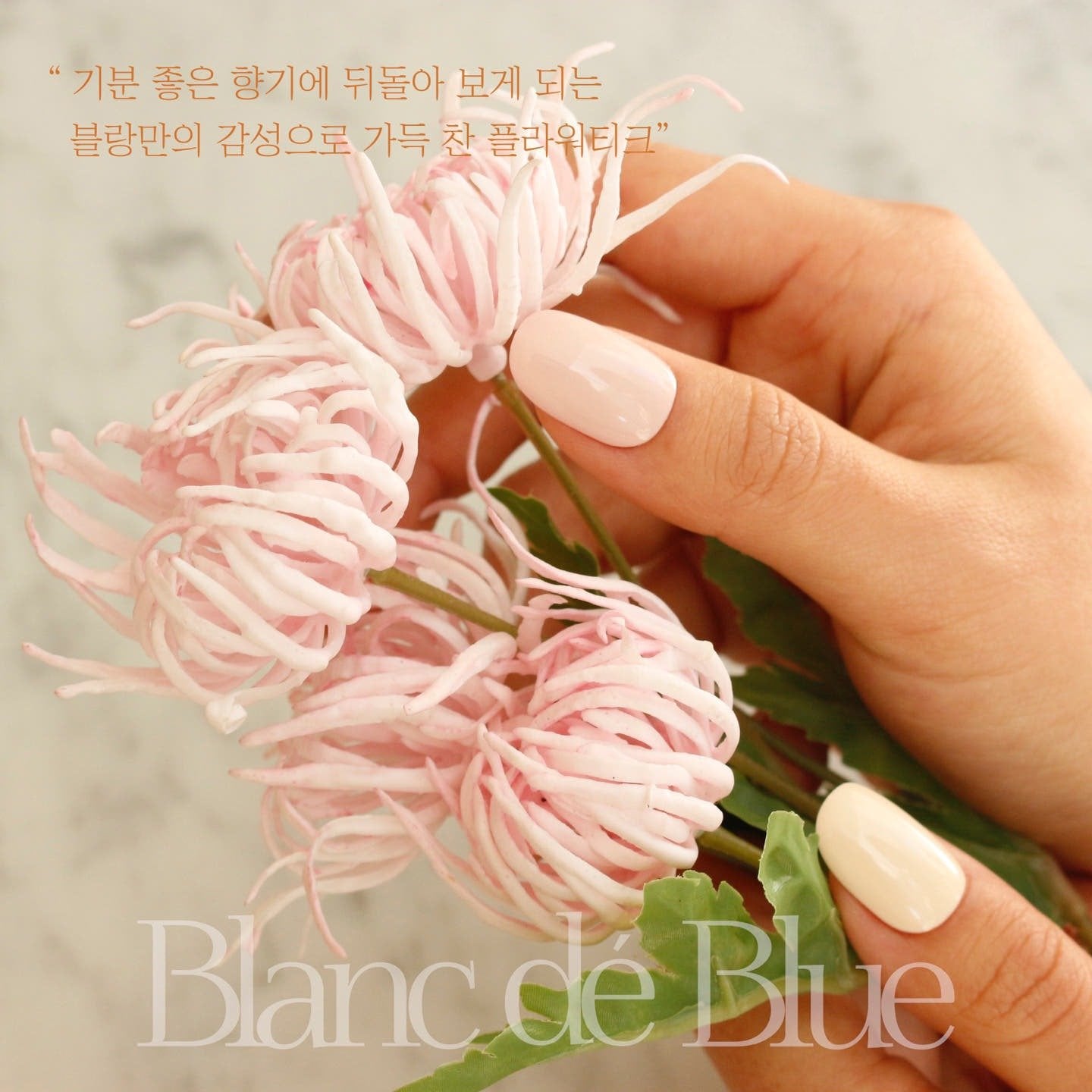 Flowertique Collection