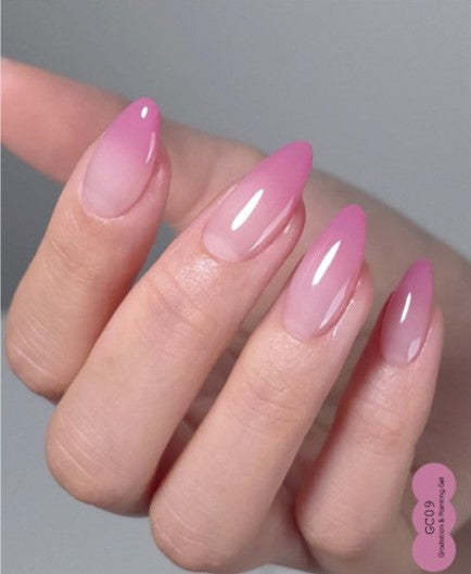 Rose Blush Collection