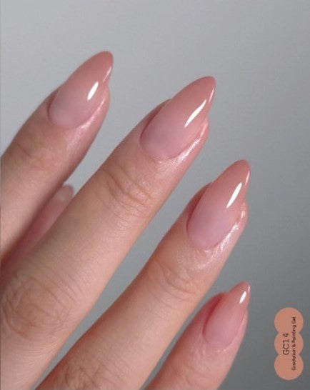 Rose Blush Collection