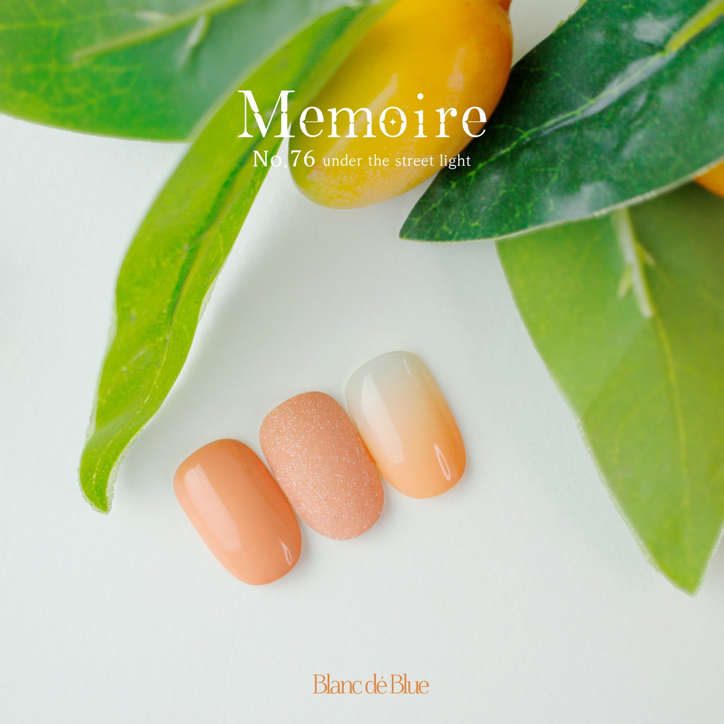 Memoire Collection