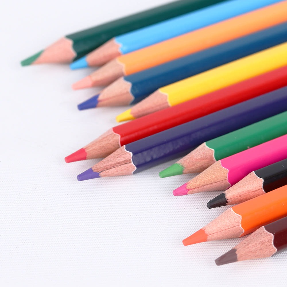 Oil-Based Color Pencil Set (12 Colors)