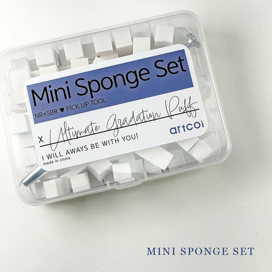 Mini Sponge Set