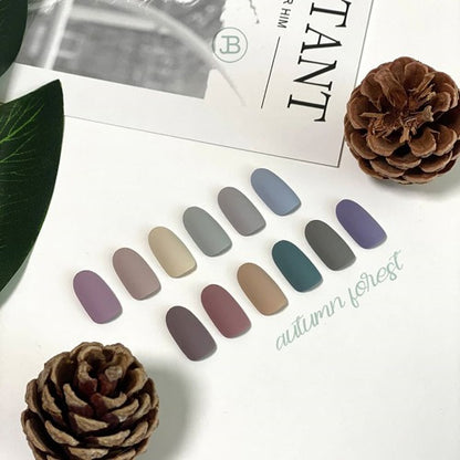 autumn forest Collection