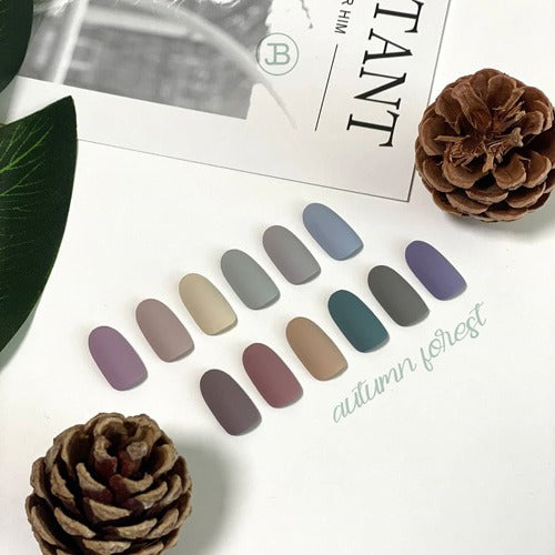 autumn forest Collection