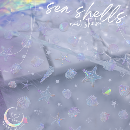 sea shells