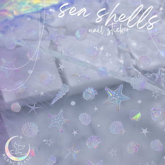 sea shells