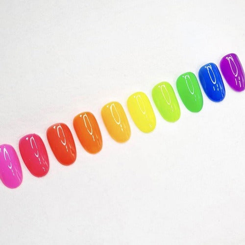 NEINBOW Collection