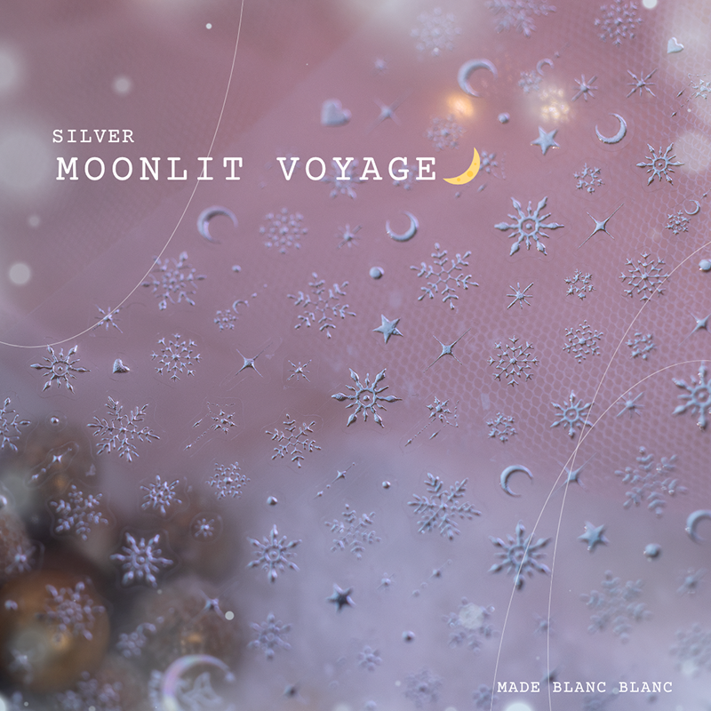 Silver Moonlit Voyage