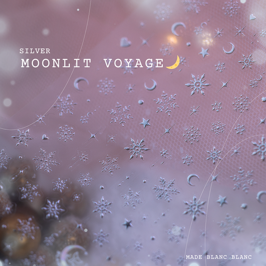 Silver Moonlit Voyage