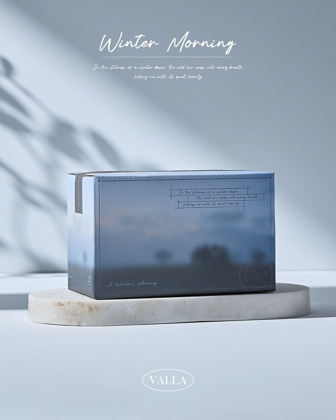 Winter Morning Collection