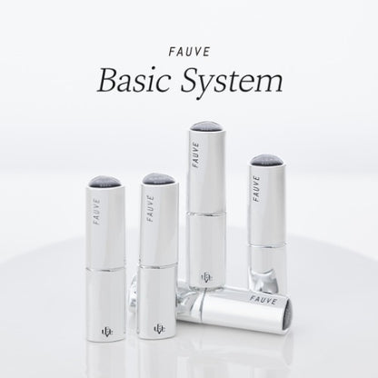 Basic System