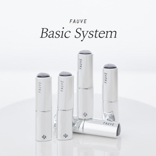 Basic System