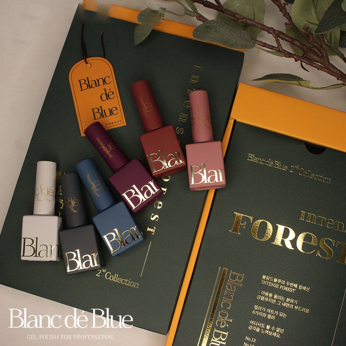 Intense Forest Collection