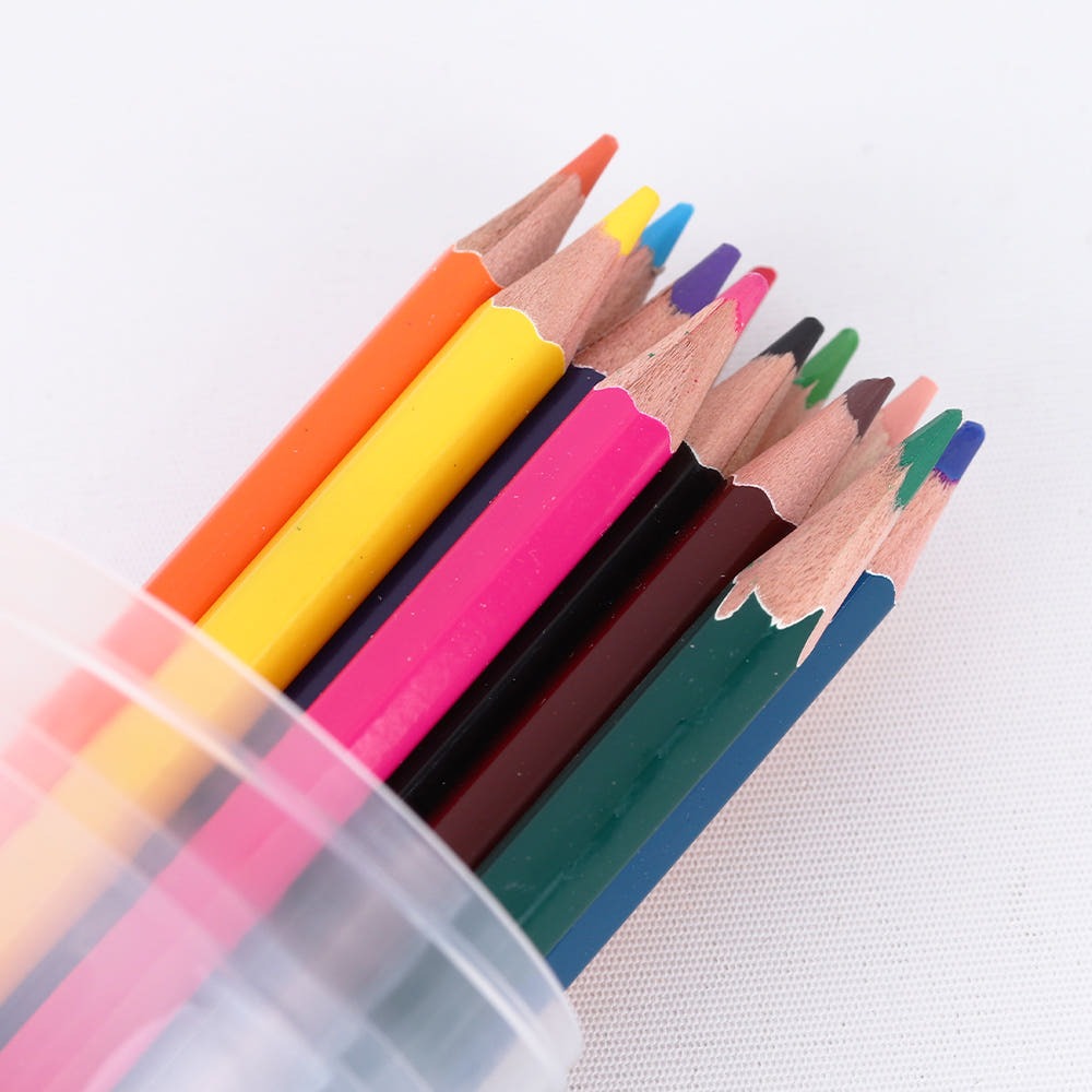 Oil-Based Color Pencil Set (12 Colors)